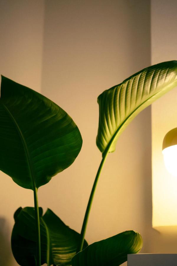 #9 3Mins To Station 1Stop To Shinjuku Stylish Apartment With Plenty Of Sunlight 東京都 外观 照片